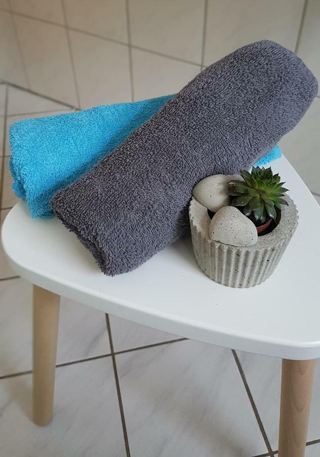 Naehe Mainz - Ferienwohnung - Apartment Breivogel In Woerrstadt Ngoại thất bức ảnh